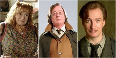 10 Best Parents In Harry Potter, Ranked