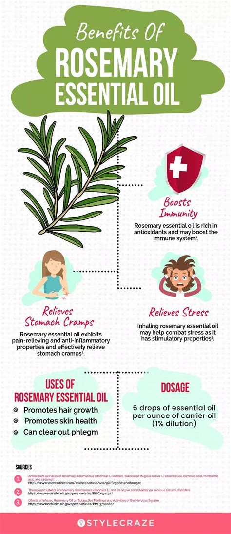 21 Benefits Of Rosemary Essential Oil, Uses, & Side Effects