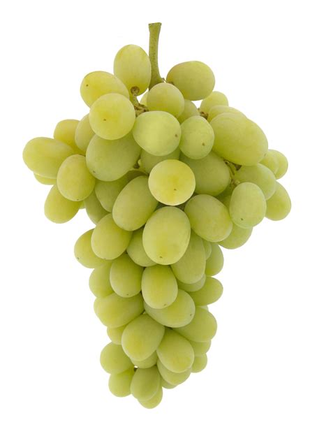 Buy Grapes - Green Seedless Online From HDS Foods