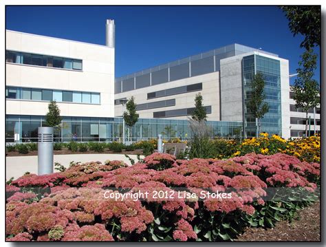 Brampton Civic Hospital | Brampton's new hospital, 30 years … | Flickr