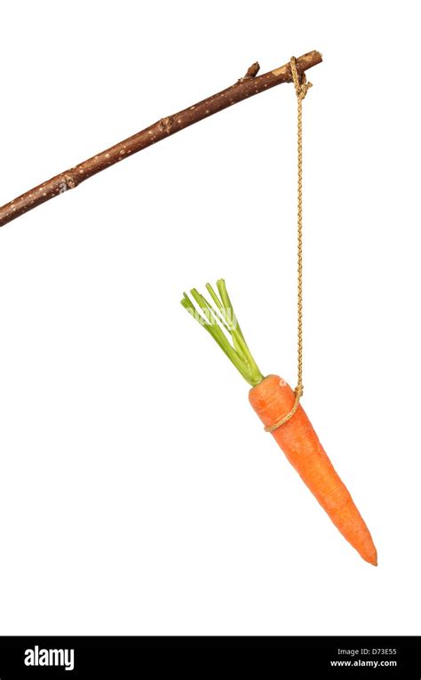 Carrot on Stick Stock Photo - Alamy