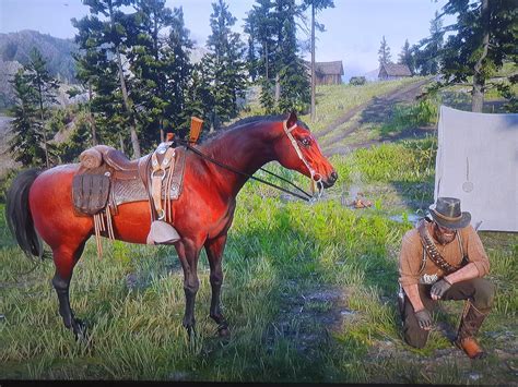 Just found that Arabian horse...amazing color : r/reddeadredemption