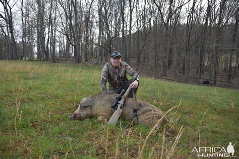 Hog Hunt West Virginia | AfricaHunting.com