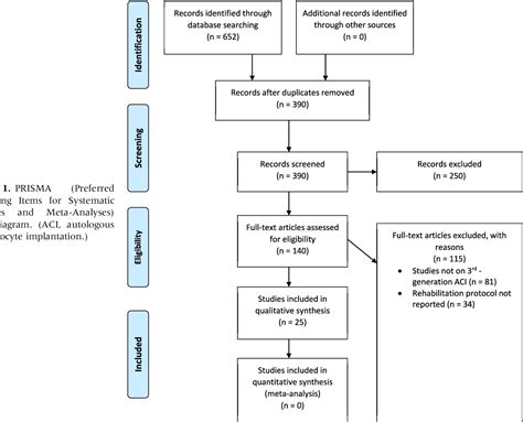 Figure 1 from The Most Common Rehabilitation Protocol After Matrix ...