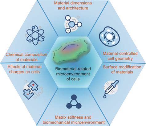 Biomaterial-Related Cell Microenvironment in Tissue Engineering and Regenerative Medicine