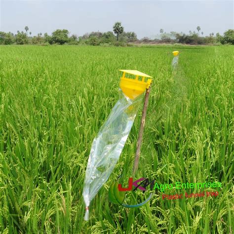 Pheromone Lures And Traps at Rs 45/piece | Pheromone Trap | ID: 18915452212