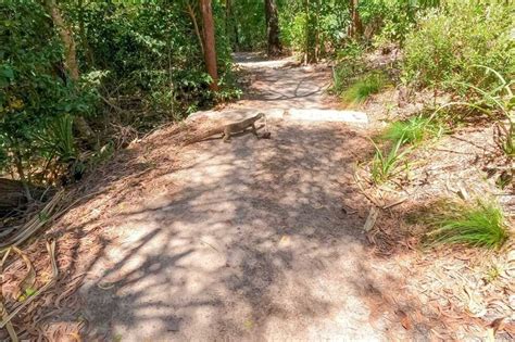 Epic Hiking Trails Near Whitehaven Beach Whitsunday Island