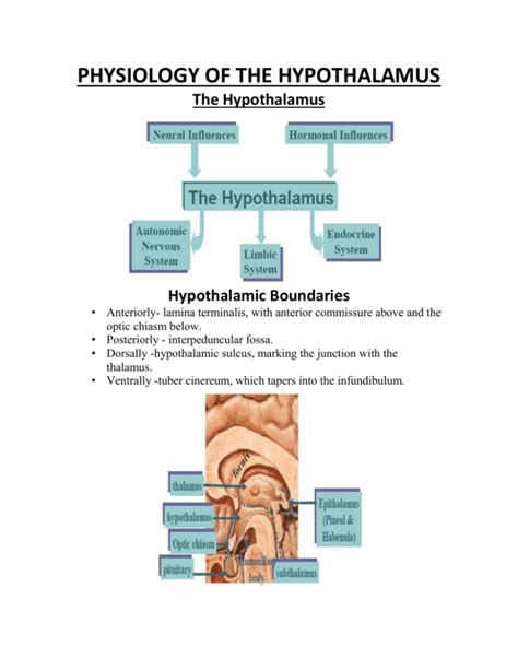 PHYSIOLOGY OF THE HYPOTHALAMUS