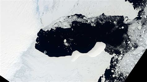 Scientists find never-changing ice island in Antarctica — MercoPress