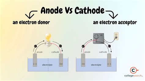 Cathode And Anode: Key Differences & Definitions | CollegeSearch