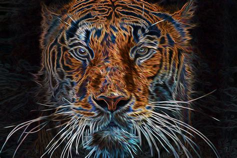 Abstract Tiger Painting at PaintingValley.com | Explore collection of ...