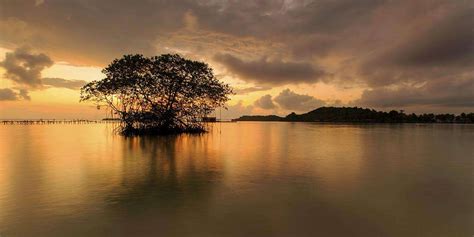 Tempat Wisata di Lampung Terbaru untuk Liburan Berkesan