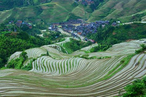 GuiLin LongSheng Rice Terraces Tour - China ChengDu Tours, Chengdu Panda Volunteer Program