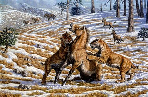 Scimitar Cats Attacking A Horse by Mauricio Anton | Prehistoric animals, Cat attack, Prehistoric