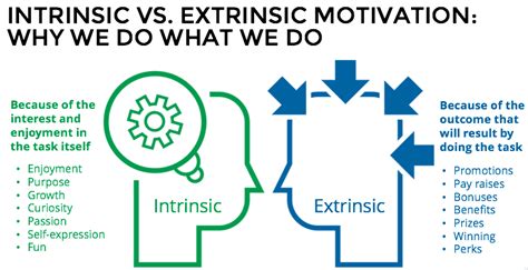 Motivation: Intrinsic vs Extrinsic - Newman Tuition