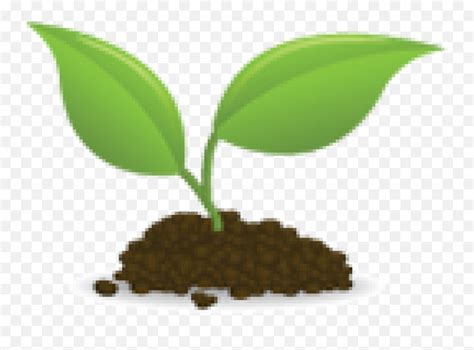 Seedling Clipart Many Plant Seedling - Seedlings Clipart Emoji,Sprout ...