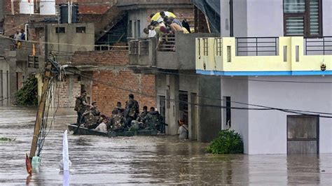 Punjab: Flood situation continues to be grim after fresh rain in ...