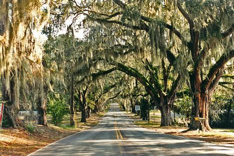 Orange Avenue, Floral City, Florida | I used to drive down t… | Flickr