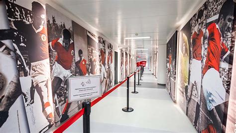 Museum and Stadium Tour - SL Benfica