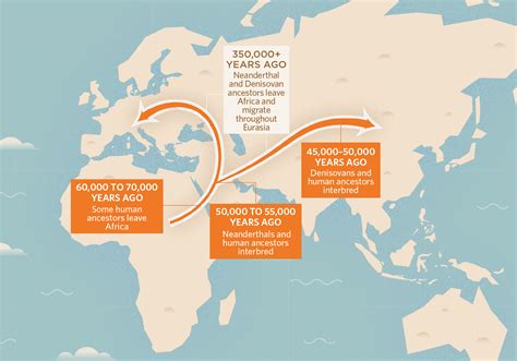 Neanderthal Dna Modern Humans – Telegraph