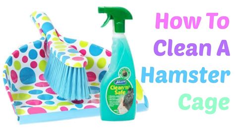 How to clean a hamster cage! - YouTube