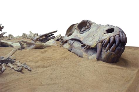 Largest Mass Extinction In The History Of The Earth Linked To Rising ...