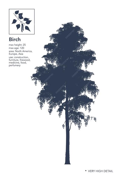 Premium Vector | Birch silhouette Birch tree on white Very high detail ...