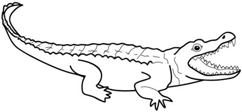 Crocodile clipart crocodile outline, Crocodile crocodile outline Transparent FREE for download ...