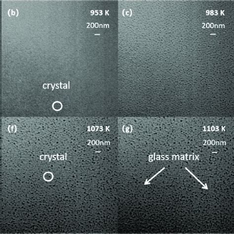 Images of Li2O-Al2O3-SiO2 glass crystallization process. (a ...