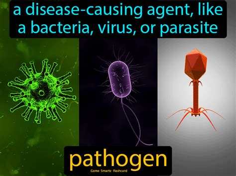 Pathogen definition: A disease-causing agent, like a bacteria, virus, or parasite. 7th Grade ...