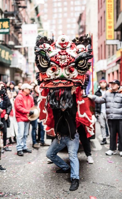 Programs — New York Chinese Freemasons Athletic Club | NYC Lion Dance