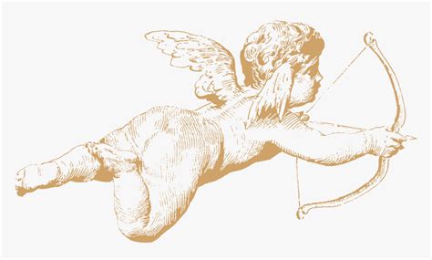 Transparent Cherub Wings Png - Cherub Drawing, Png Download ...