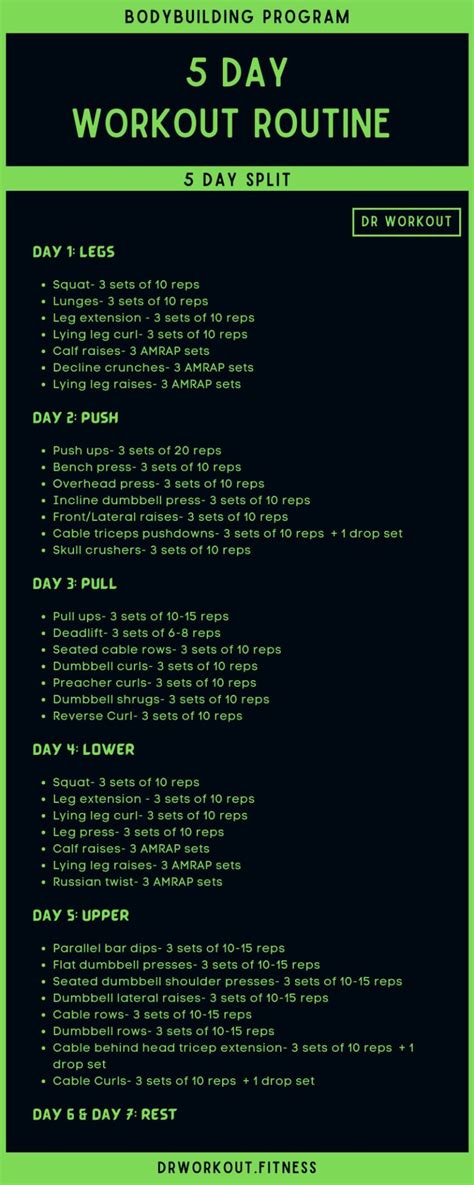 5 Day Workout Routine (with PDF)