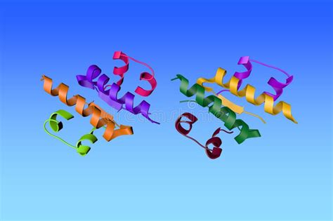 Human Insulin. Ribbons Diagram on Blue Background. Rendering with Differently Colored Protein ...