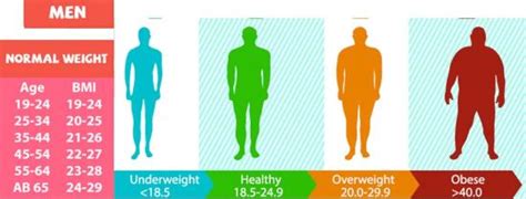 Adult BMI Chart For Men