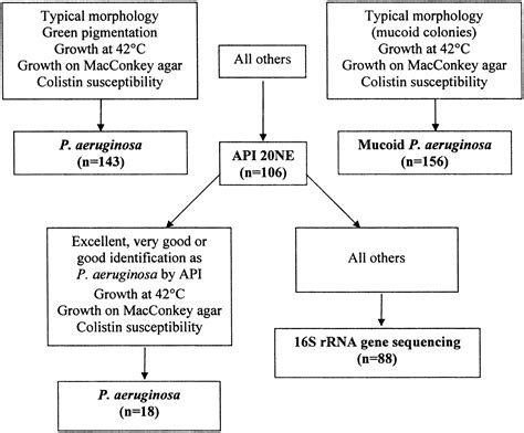 Superiority of Molecular Techniques for Identification of Gram-Negative, Oxidase-Positive Rods ...