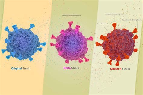 Covid-19: Original Strand vs. Omicron – Triton Voice