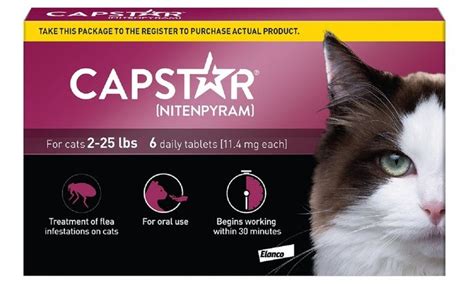 Best Flea Treatment for Cats - Vet Recommended Flea Medicine for Сat