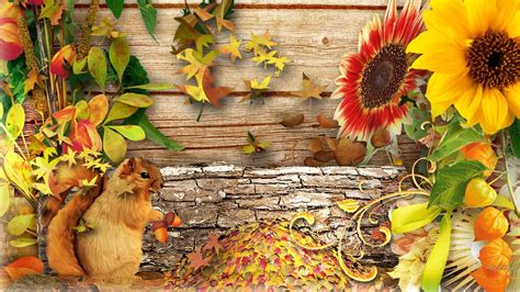 Fall Squirrel HD desktop wallpaper : Widescreen : High Definition : Fullscreen