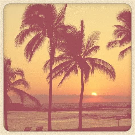 This might be my favorite version of this St. #Regis #Punta #Mita #Sunset #animated #GIF # ...