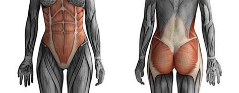 What is your Core? - Westcoast SCI Physiotherapy