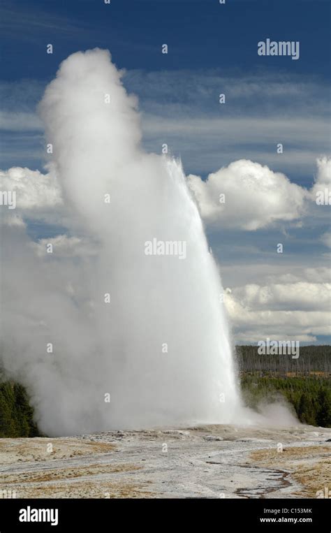 Old Faithful, Eruption, Summer, Yellowstone National Park, Wyoming ...