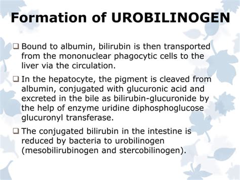 Bile pigments | PPT