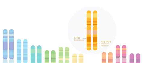 The New 23andMe Experience - 23andMe Blog