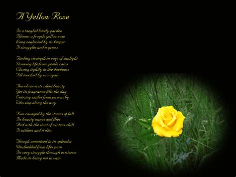 In Memory Of FatherIf Roses Grow In Heaven Memorial Poem For Loss Of Dad Bereavement Gift Idea ...