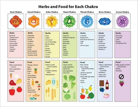 LAMINATED Chakra Chart on Healing Herbs & Food Illustrated