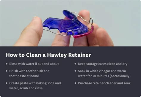 Hawley Retainers: Cost, Cleaning & Alternatives | Byte®