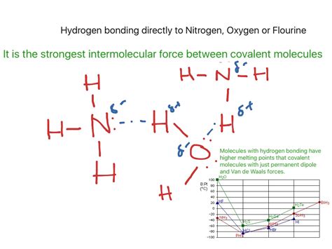 ShowMe - Hydrogen bonding