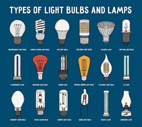 Premium Vector | Types of electric light bulbs and lamps set in linear doodle style on a blue ...