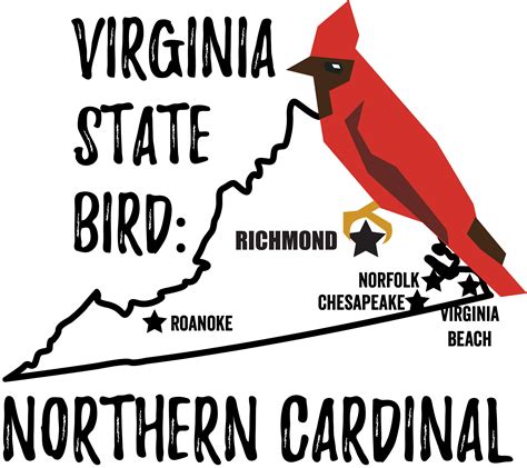 Virginia State Bird - Bird Watching Academy